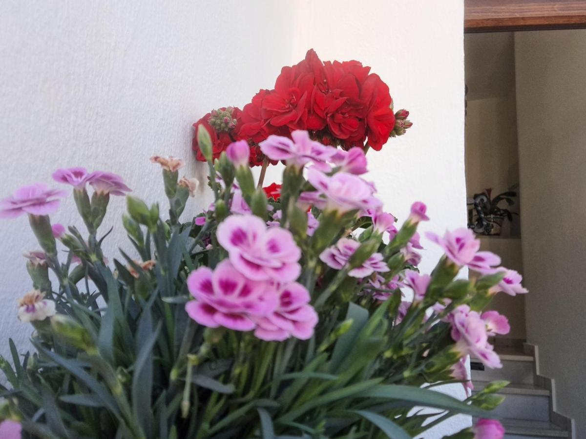 Apartamento "La Vina" Málaga Esterno foto